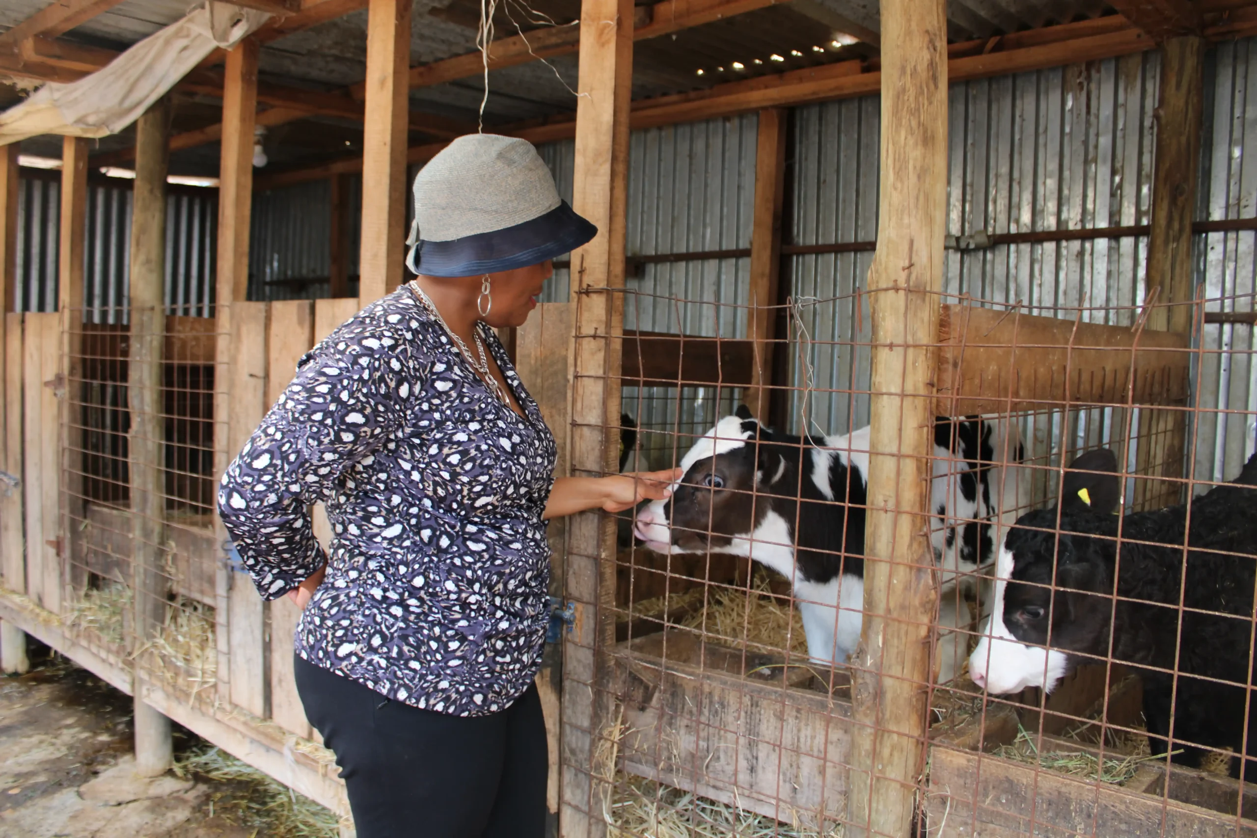 Kefa Dairy Farm Visit