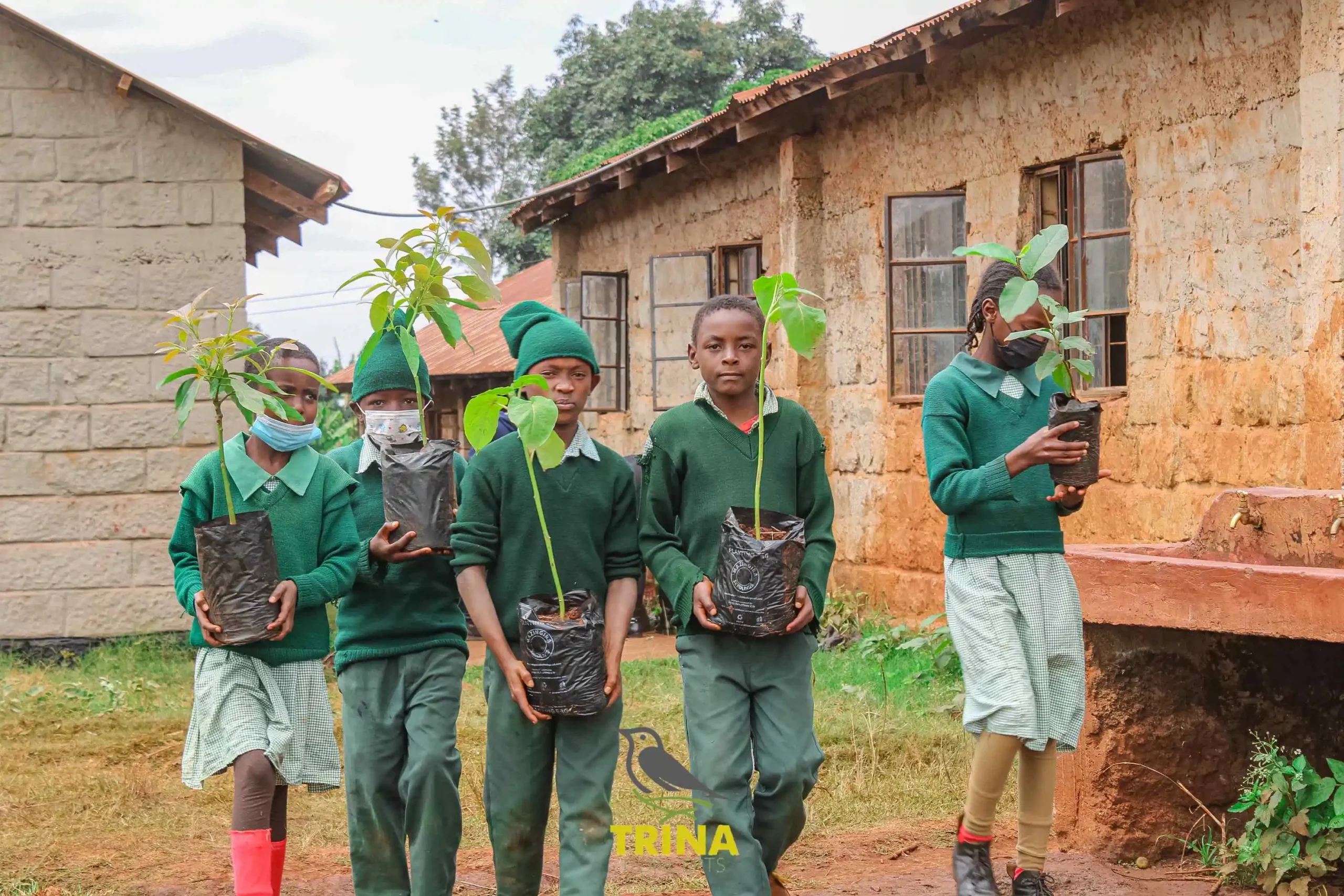 Kiairia Primary Tree P Event