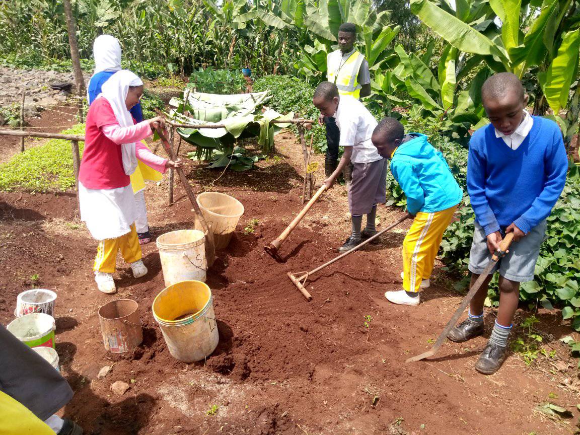 Learners Ploughing