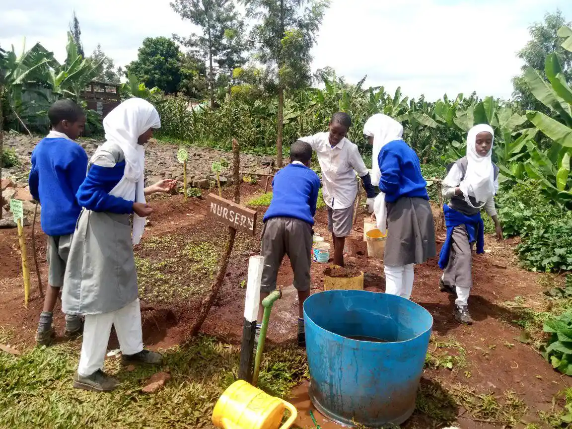 Learners Watering