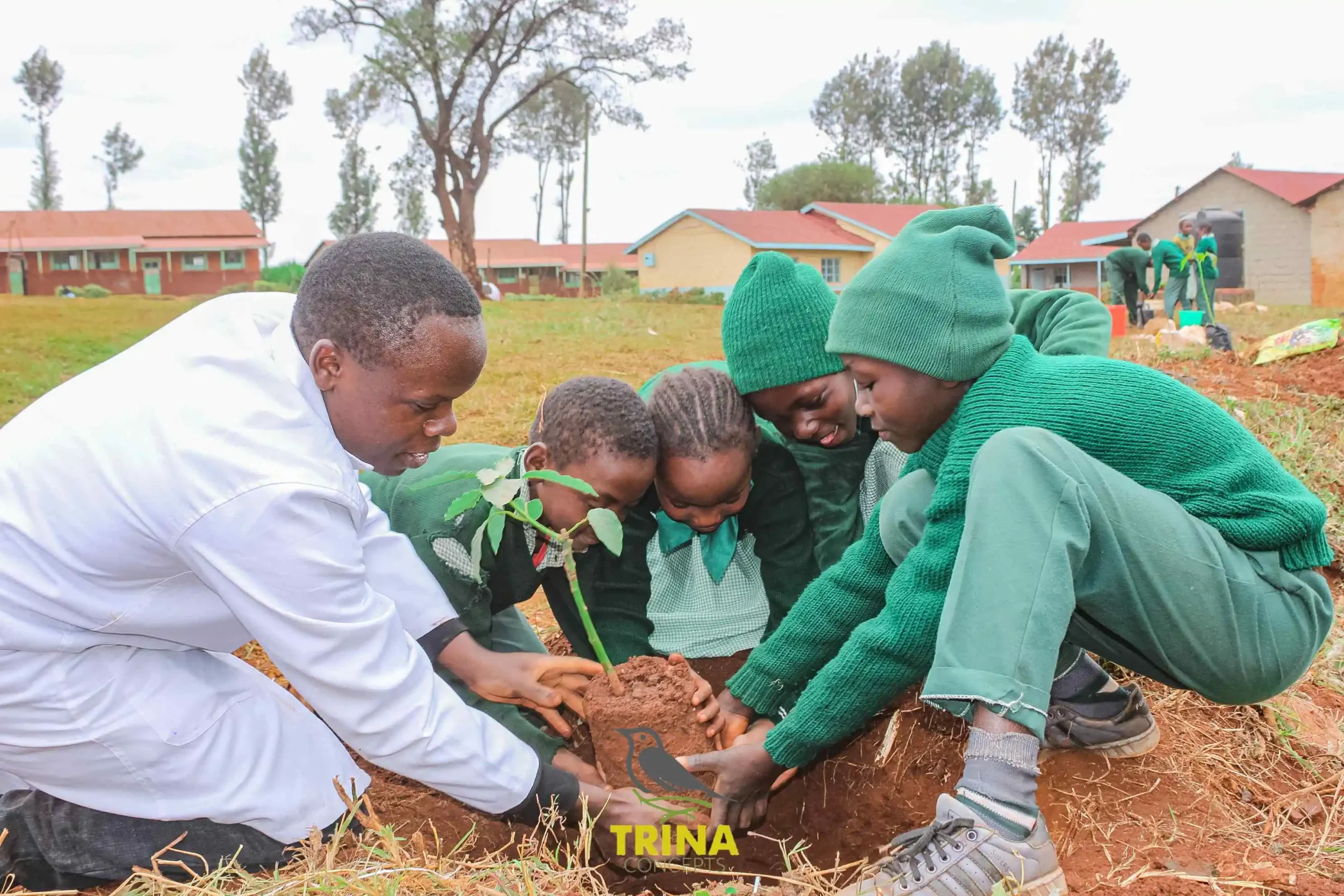 Tree planting