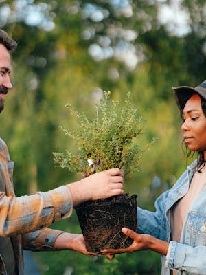 A Bearded Man Giving a Plant to a Woman in Denim Jacket