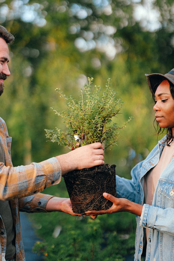 A Bearded Man Giving a Plant to a Woman in Denim Jacket