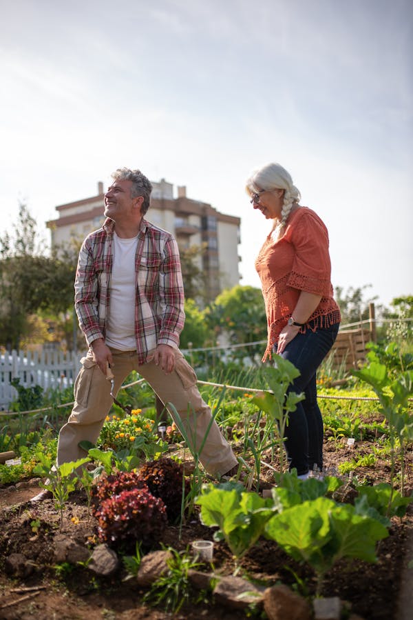 Couple Harvesting on a Garden