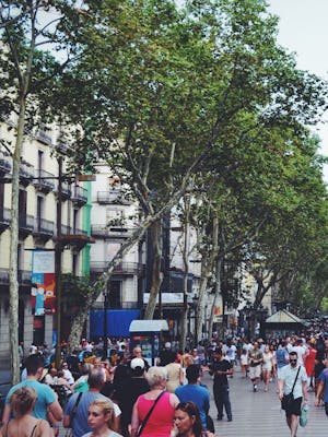 People Walking in the Street Near Green Leaved Trees Under White Cloudy Sky during Daytime