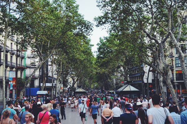 People Walking in the Street Near Green Leaved Trees Under White Cloudy Sky during Daytime